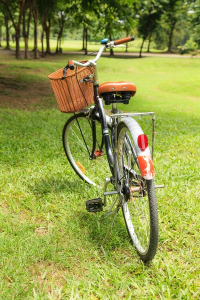 Fietsen in het park — Stockfoto