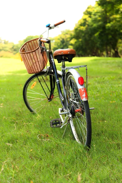 Biciclette nel parco — Foto Stock