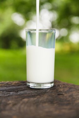 bir cam içine dökülen süt