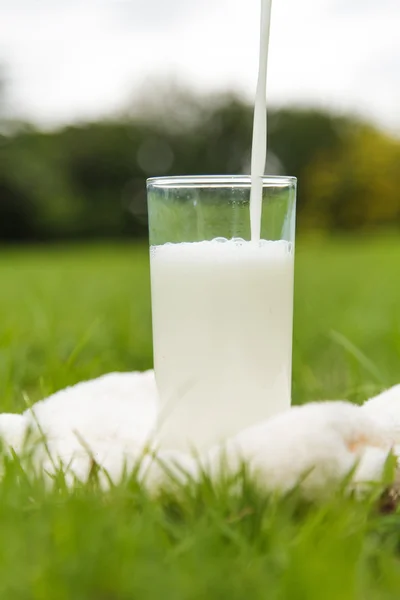 Leche vertiendo en un vaso — Foto de Stock