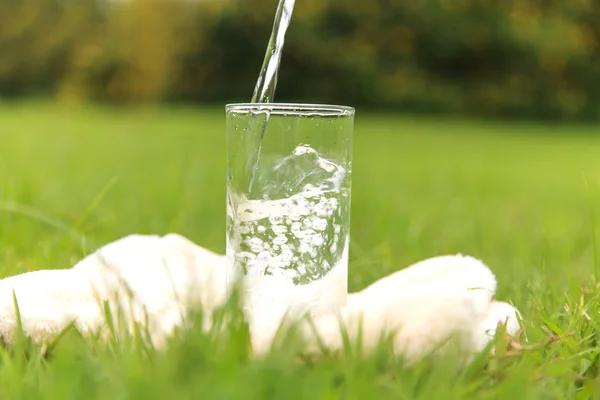 Água em um copo — Fotografia de Stock