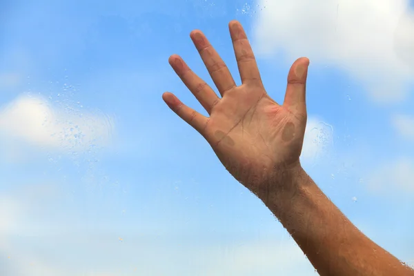 Hand on the glass — Stock Photo, Image