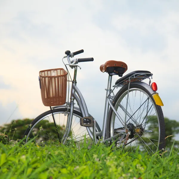 公園内の自転車 — ストック写真