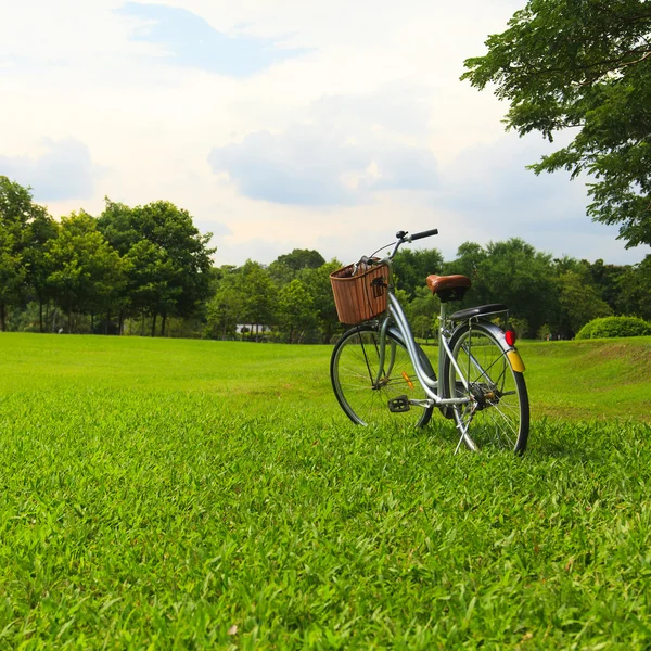 Biciclette nel parco — Foto Stock