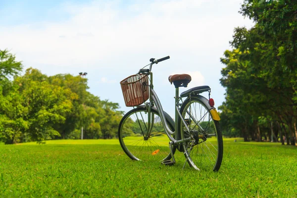 Parktaki bisikletler — Stok fotoğraf