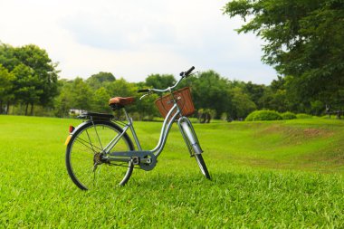 Parktaki bisikletler