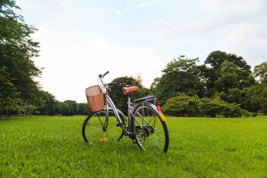 Parktaki bisikletler