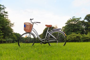 Parktaki bisikletler