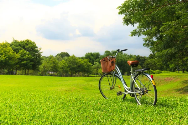 Rowery w parku — Zdjęcie stockowe
