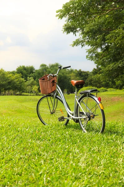 Biciclette nel parco — Foto Stock