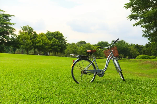 Jízdní kola v parku — Stock fotografie