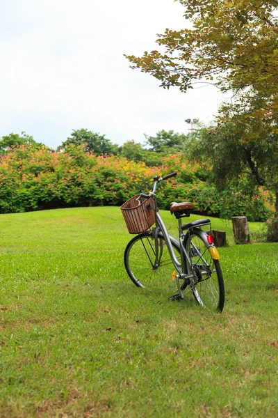 Cyklar i parken — Stockfoto