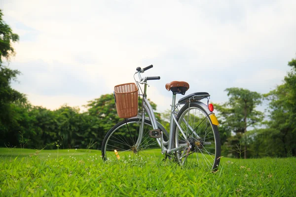 Parktaki bisikletler — Stok fotoğraf