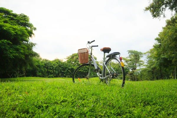 Biciclette nel parco — Foto Stock
