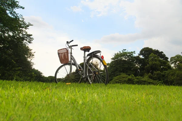 Fietsen in het park — Stockfoto