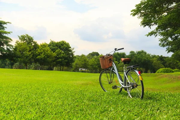 Biciclette nel parco — Foto Stock