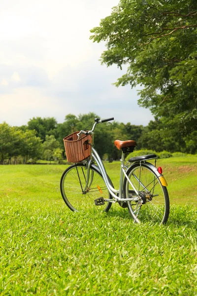 Fahrräder im Park — Stockfoto
