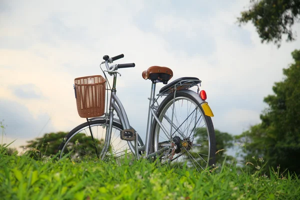 Vélos dans le parc — Photo