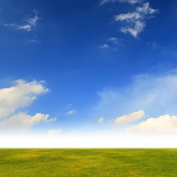 Campo verde con cielo azul —  Fotos de Stock
