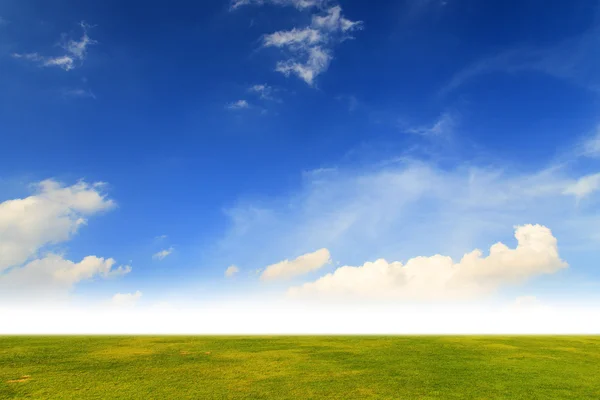 Зеленое поле с голубым небом — стоковое фото
