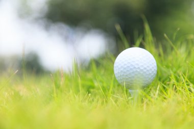 Golf Topu Tee 'de