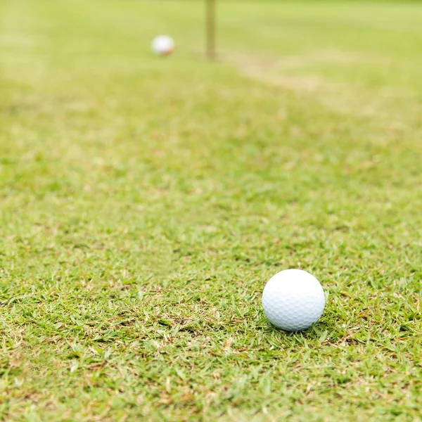 Bola de golfe em verde — Fotografia de Stock