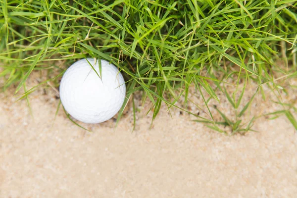 Golf topu