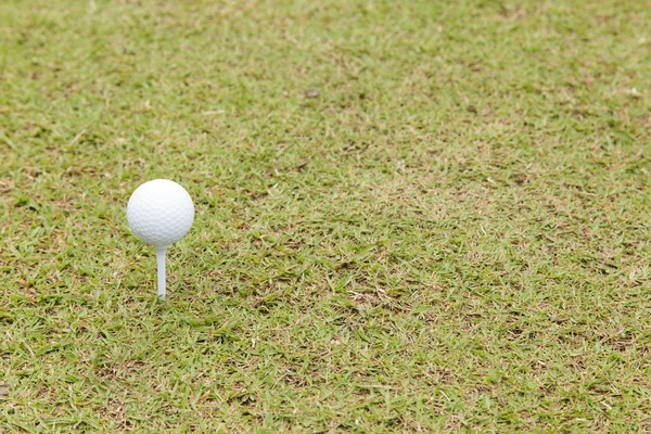 Golf ball on tee — Stock Photo, Image