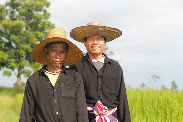 Agricultores en el campo de arroz —  Fotos de Stock