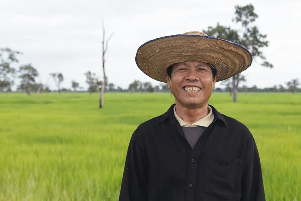 Farmer in the rice field — Stock Photo, Image