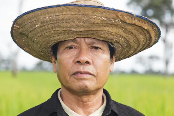 Agricoltore nella risaia — Foto Stock