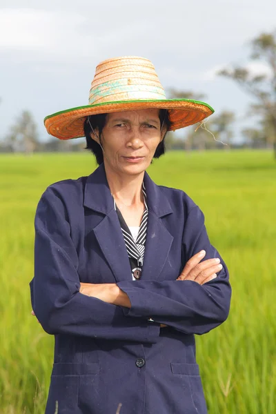 Farmer in the rice field — Stock Photo, Image