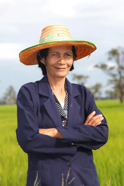 Farmer in the rice field — Stock Photo, Image