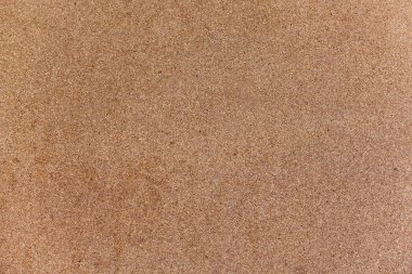 mantar pano arka plan