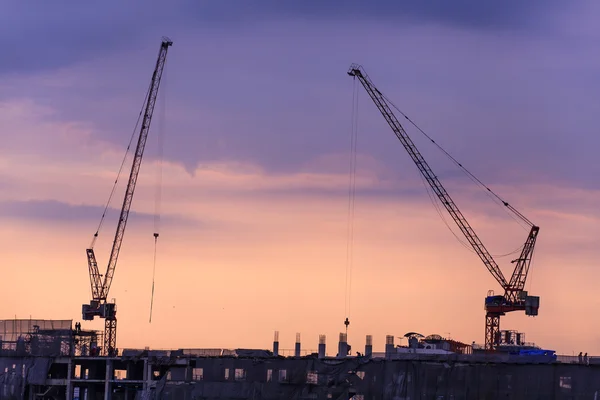 Cranes — Stock Photo, Image