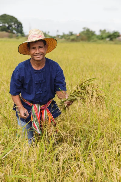 Asian farmer — Stock Photo, Image