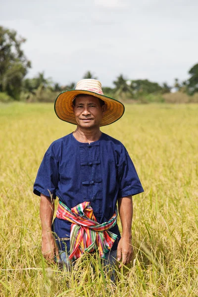 Agricultor asiático — Fotografia de Stock