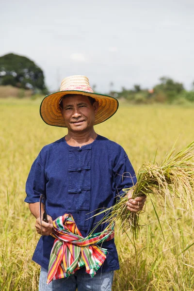 Agricultor asiático — Fotografia de Stock