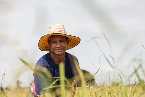 Asyalı çiftçi — Stok fotoğraf