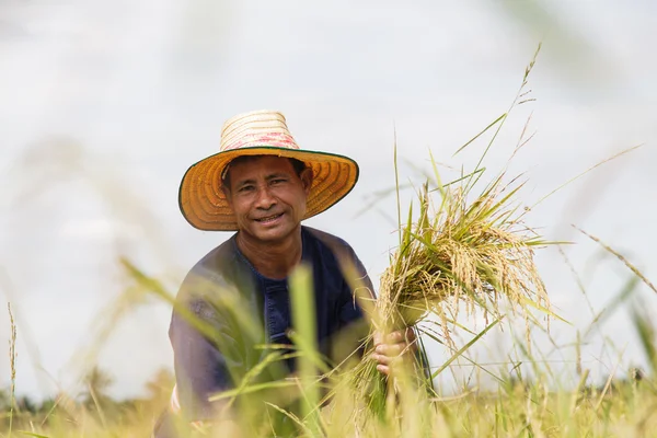 アジアの農夫 — ストック写真