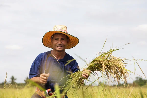 Agricultor asiático — Fotografia de Stock