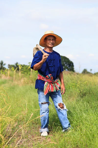 Asian farmer — Stock Photo, Image