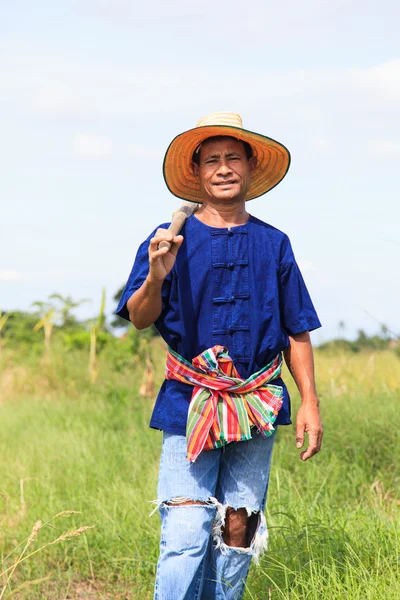 Asian farmer — Stock Photo, Image