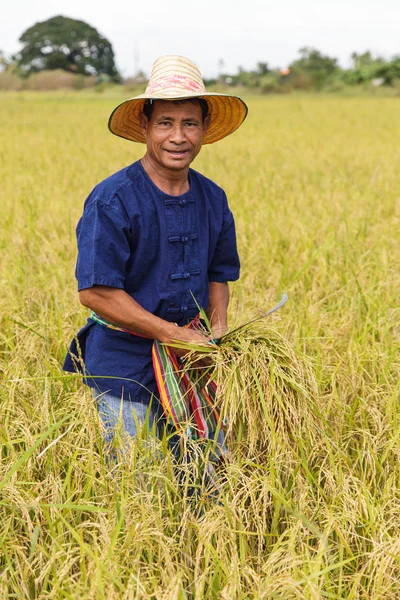 Agricultor asiático — Fotografia de Stock