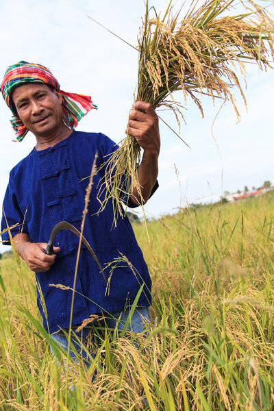 Фермер Азии
