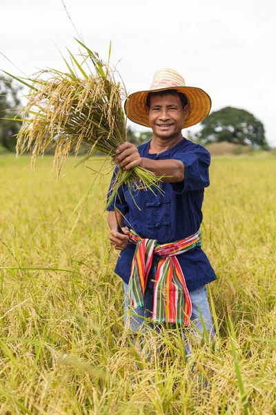 Asian farmer — Stock Photo, Image