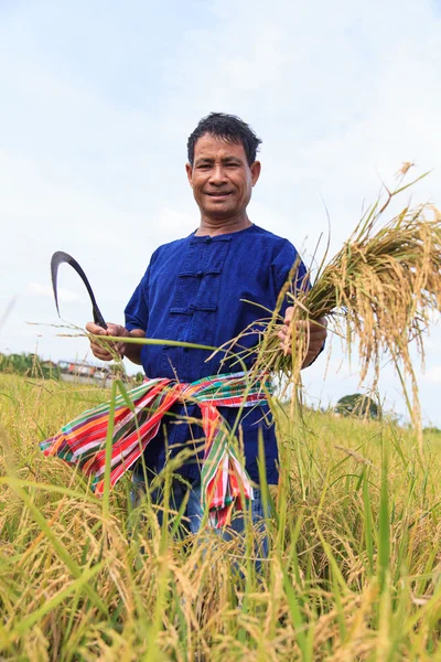 Asian farmer — Stock Photo, Image
