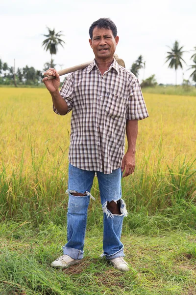 Agriculturist — Stock Photo, Image