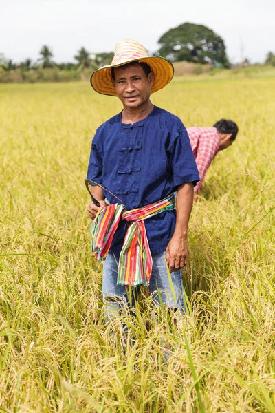 Asian farmer — Stock Photo, Image