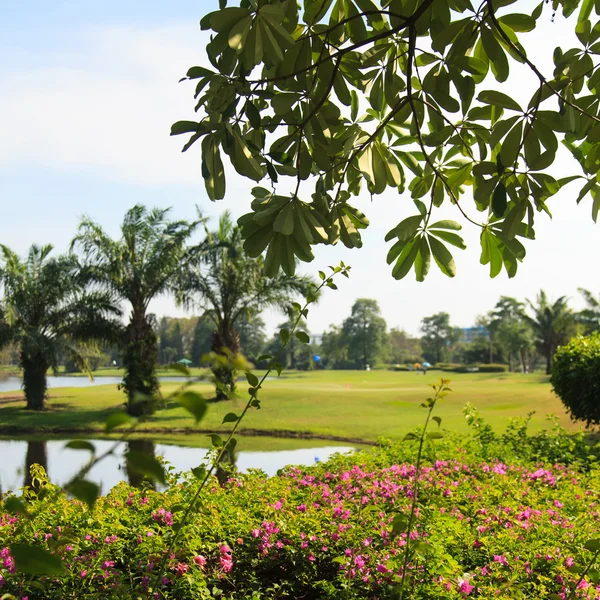 Blommor på vacker golfbana — Stockfoto